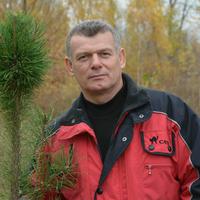 Отзыв от Ратмир - DTV виза